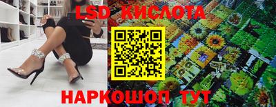 альфа пвп Гусев