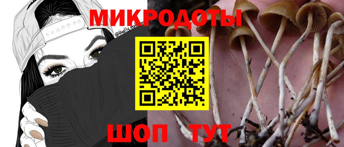 Псилоцибиновые грибы Psilocybe  Псилоцибиновые грибы ЛСД  Вход с VPN  Михайловка 